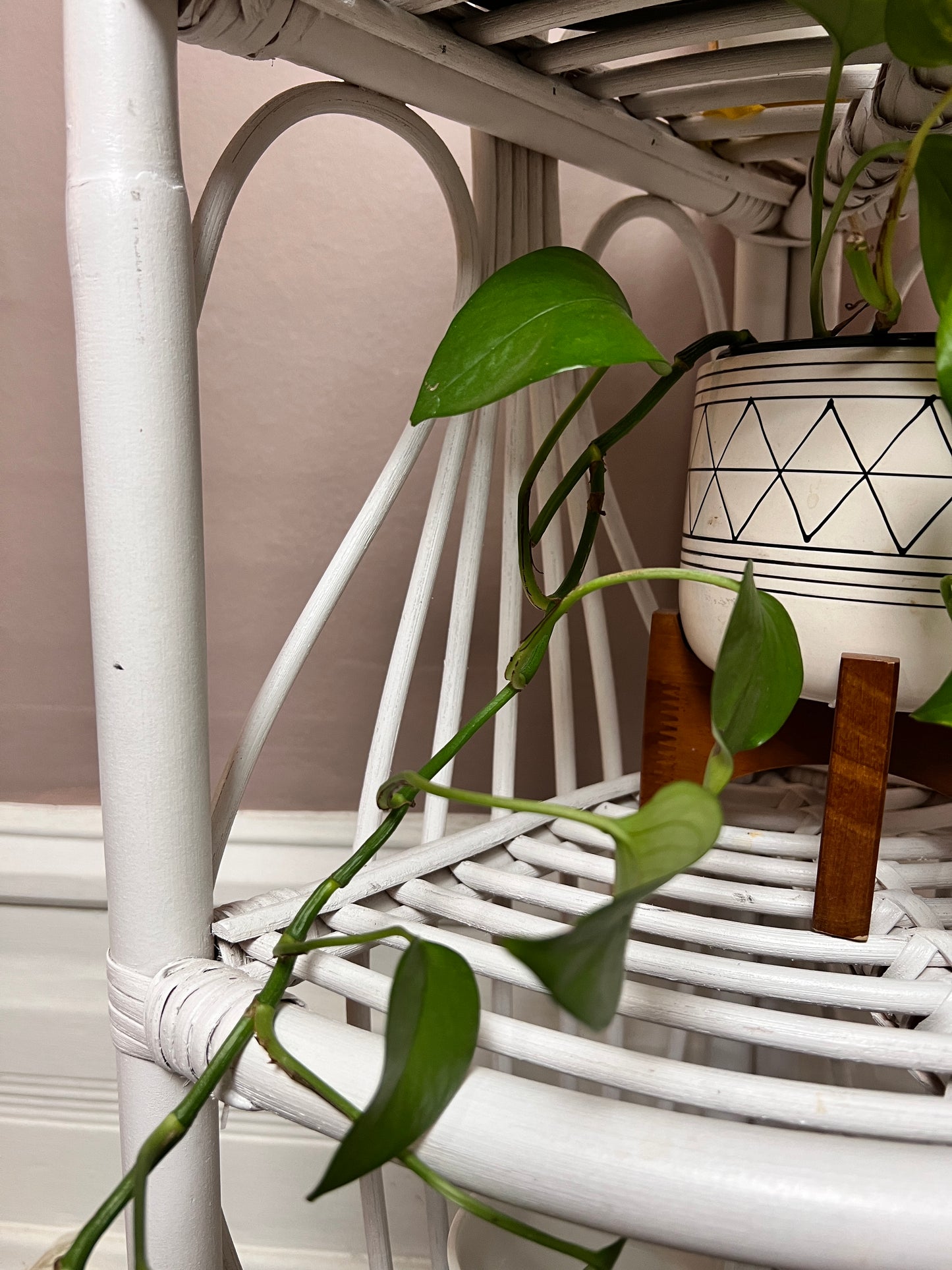 Vintage White Wicker Shelf