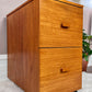 The Teak Office Cabinet