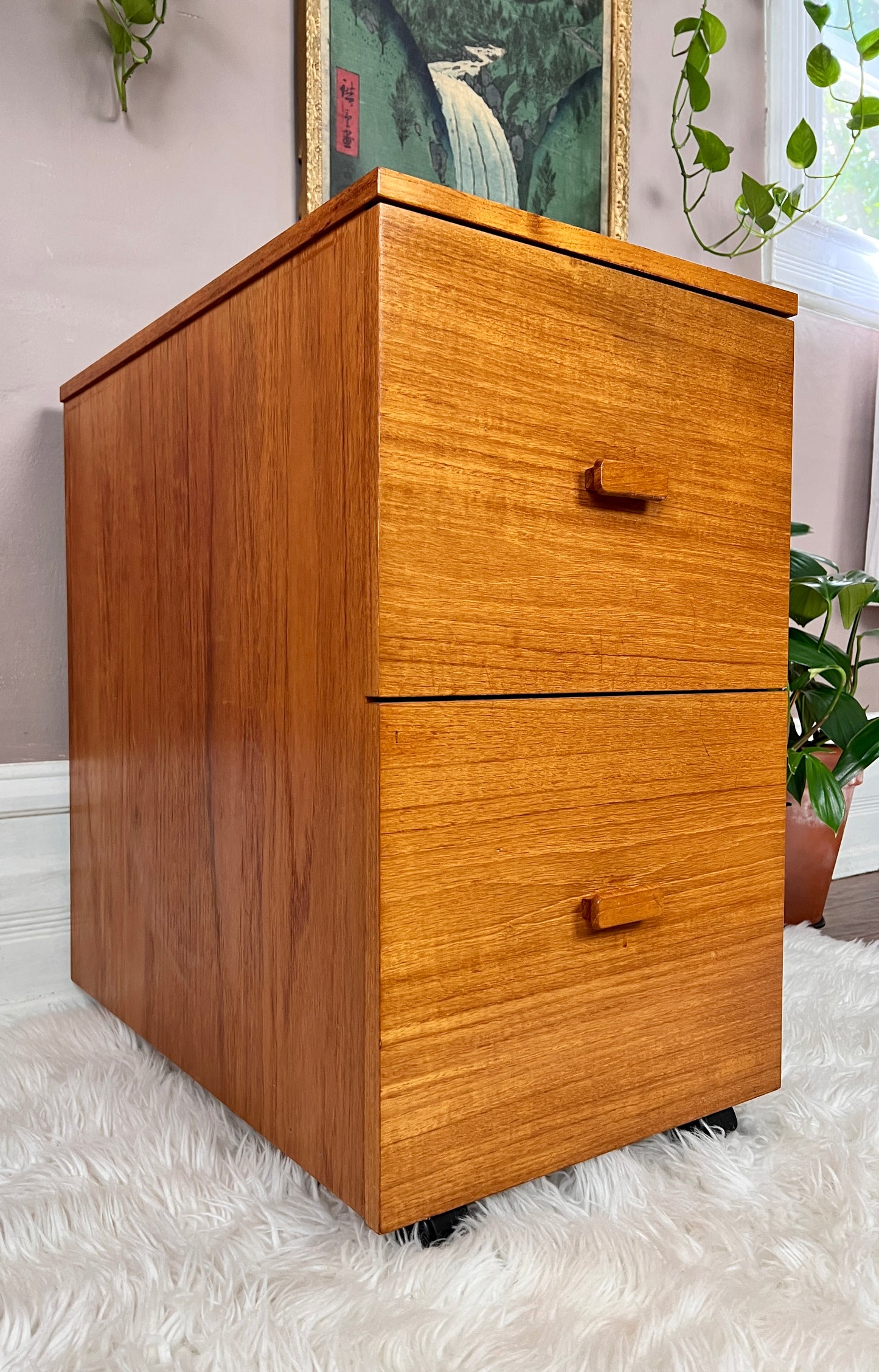 The Teak Office Cabinet