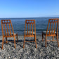 The Sagebrush Chairs