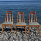 The Sagebrush Chairs