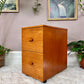 The Teak Office Cabinet