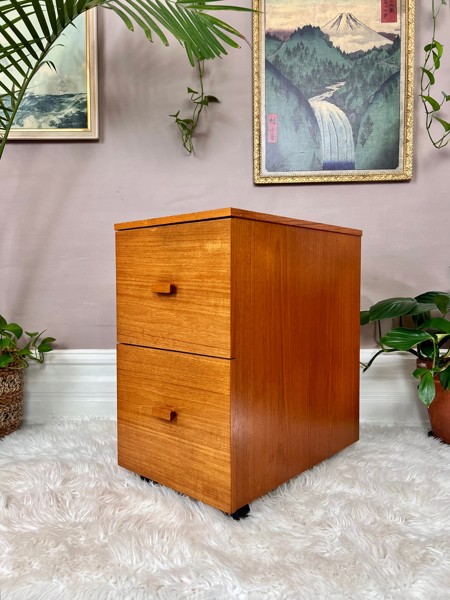 The Teak Office Cabinet