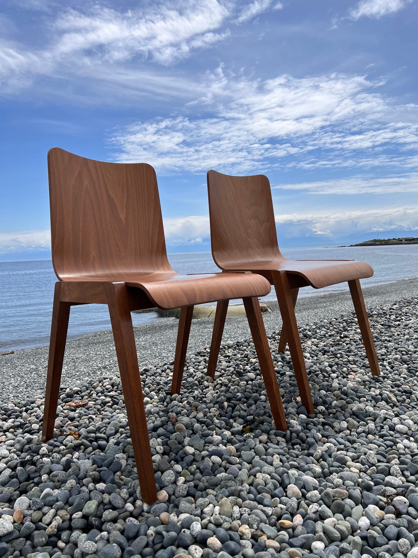 The Beechwood Chairs