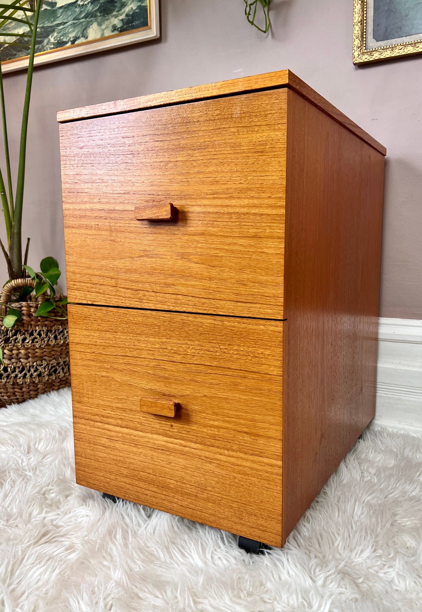 The Teak Office Cabinet