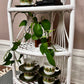 Vintage White Wicker Shelf