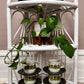 Vintage White Wicker Shelf
