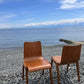 The Beechwood Chairs