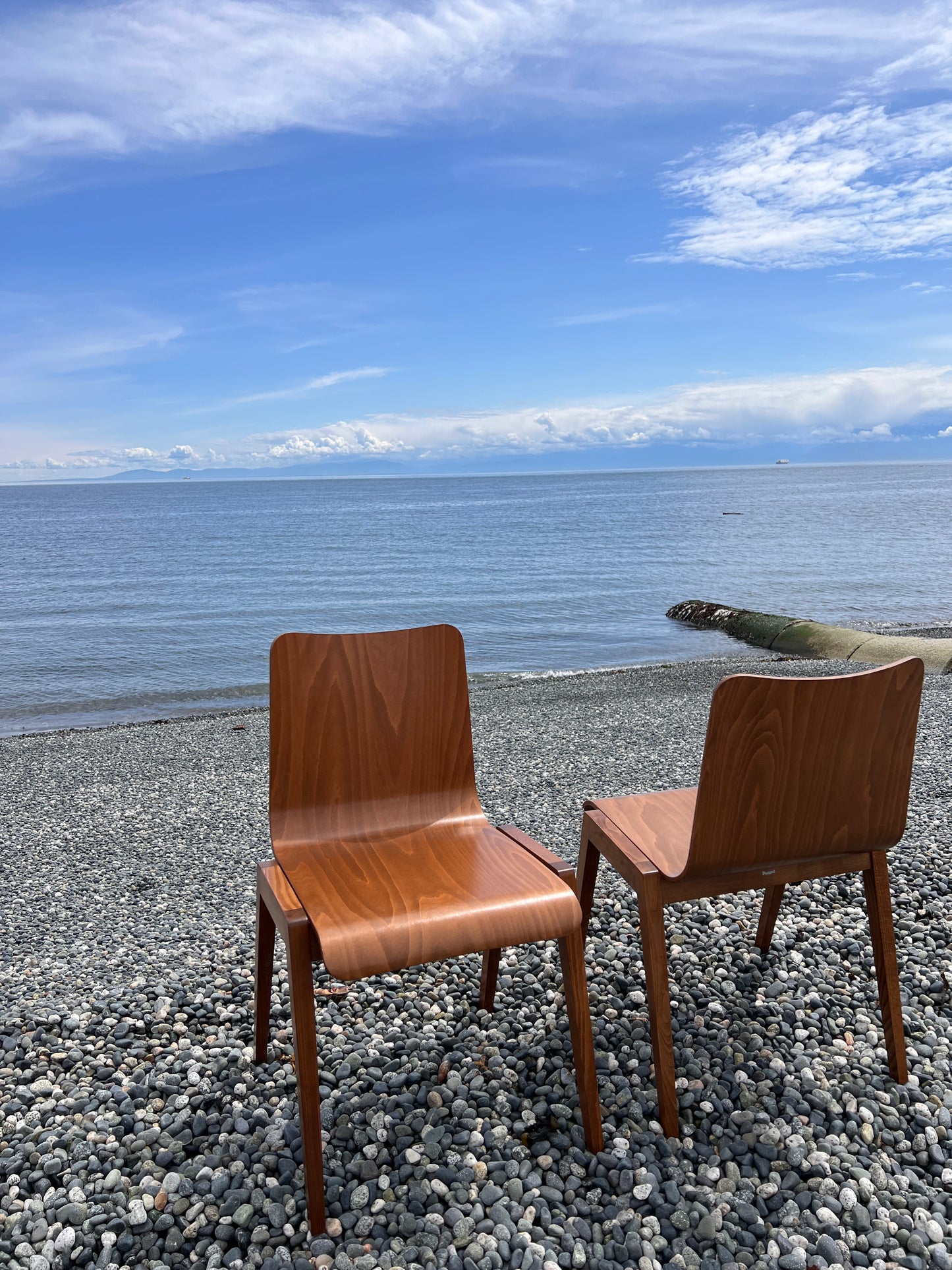The Beechwood Chairs