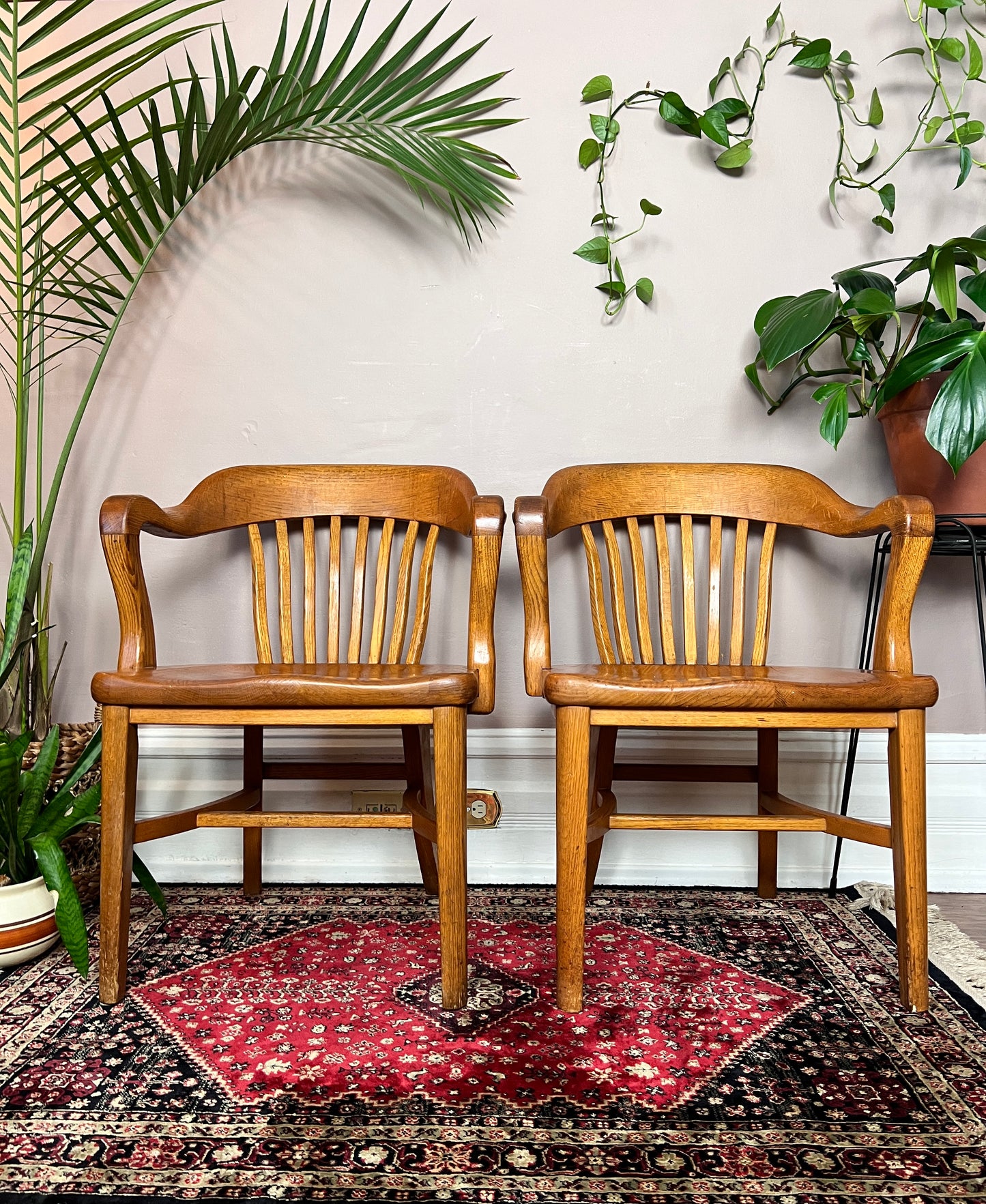 The Oak Barrister Chairs