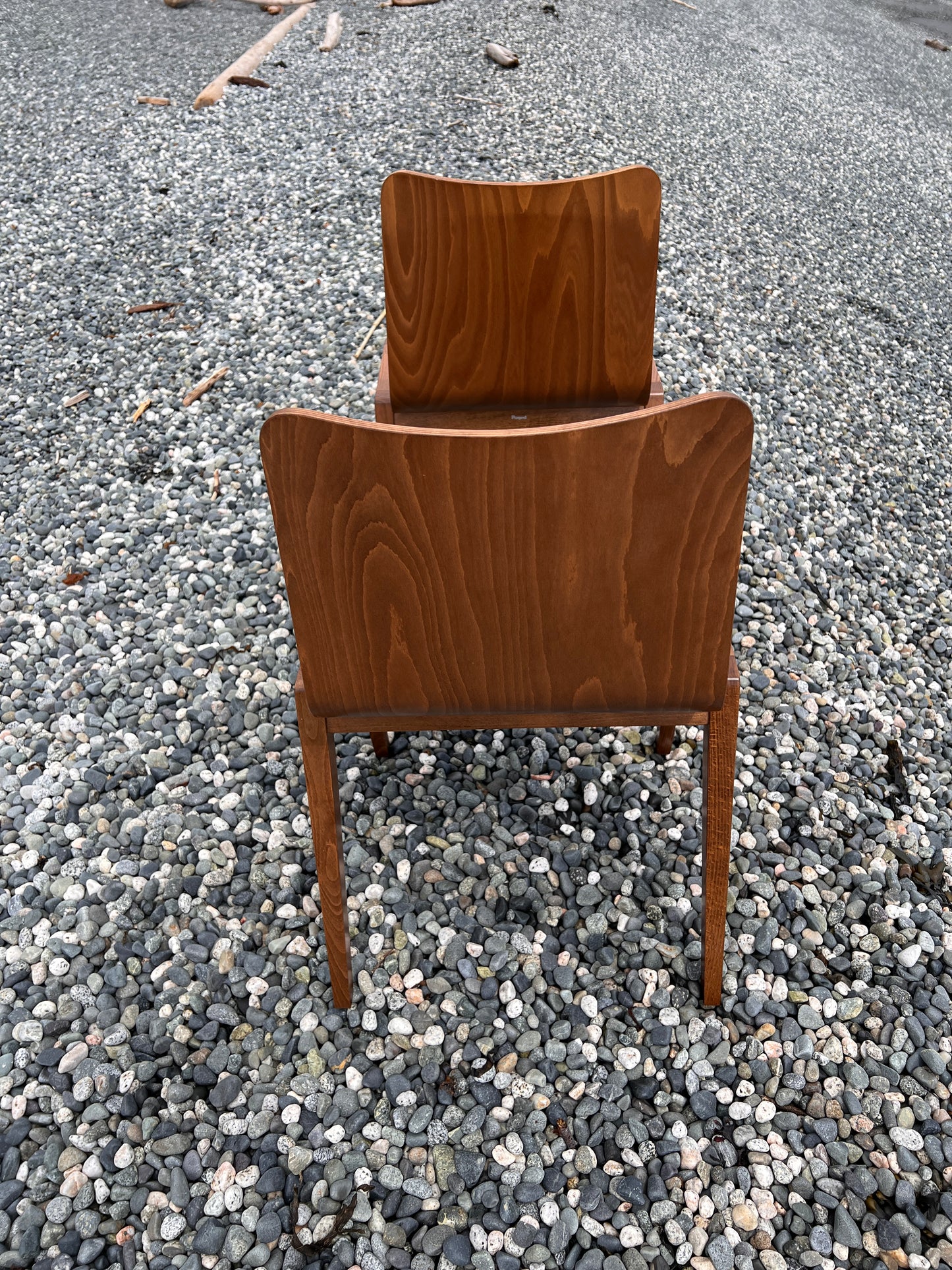 The Beechwood Chairs