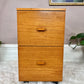The Teak Office Cabinet