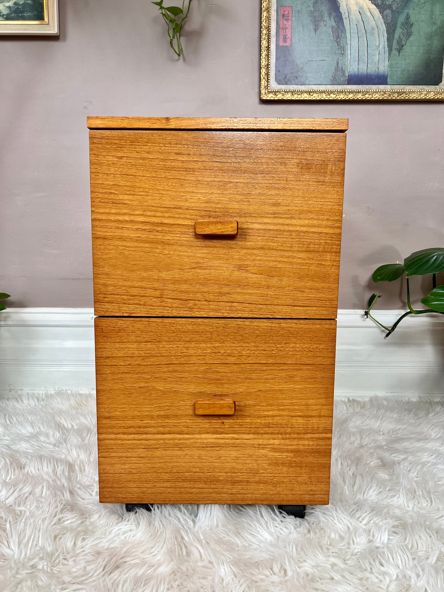 The Teak Office Cabinet