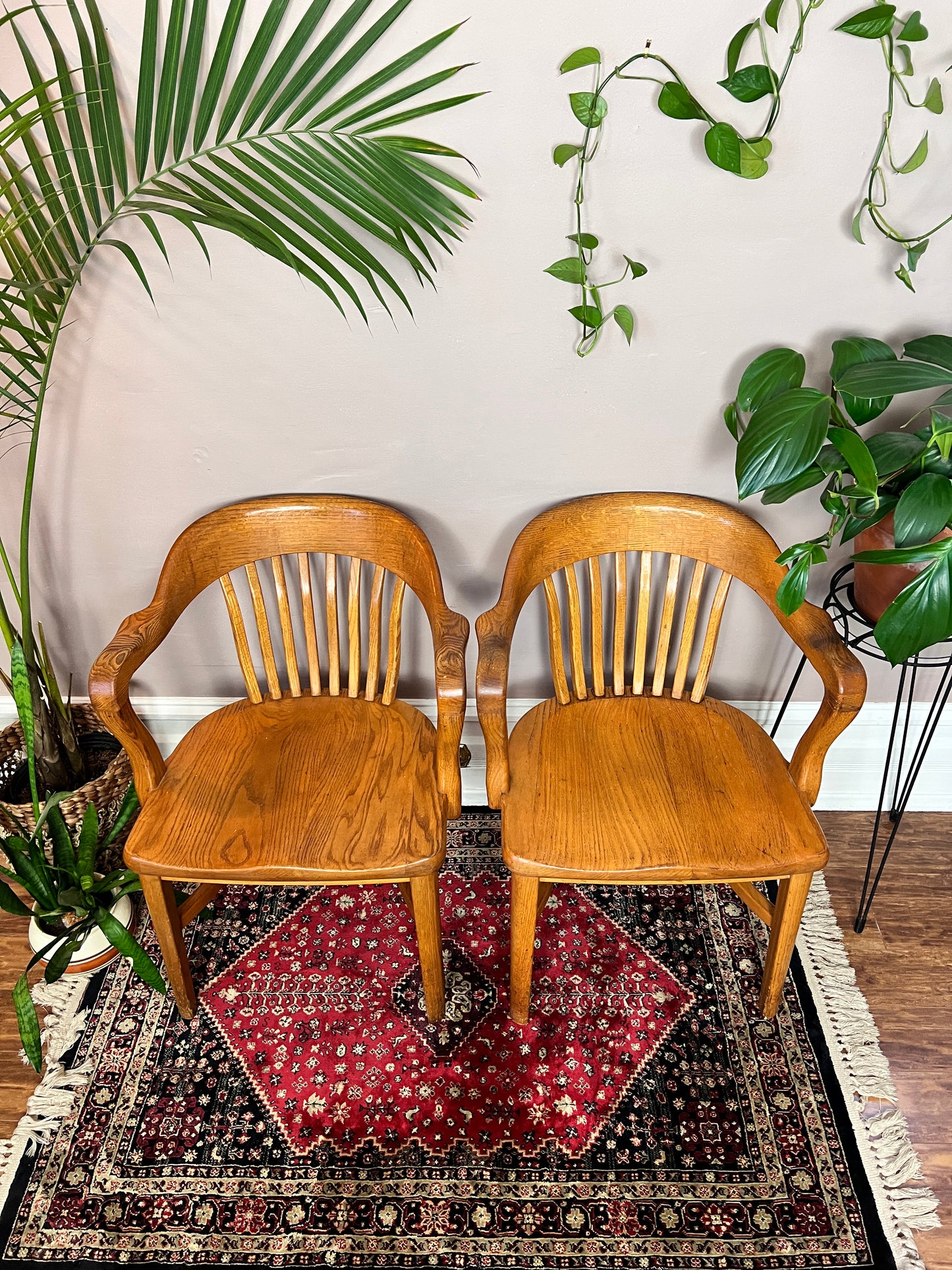The Oak Barrister Chairs