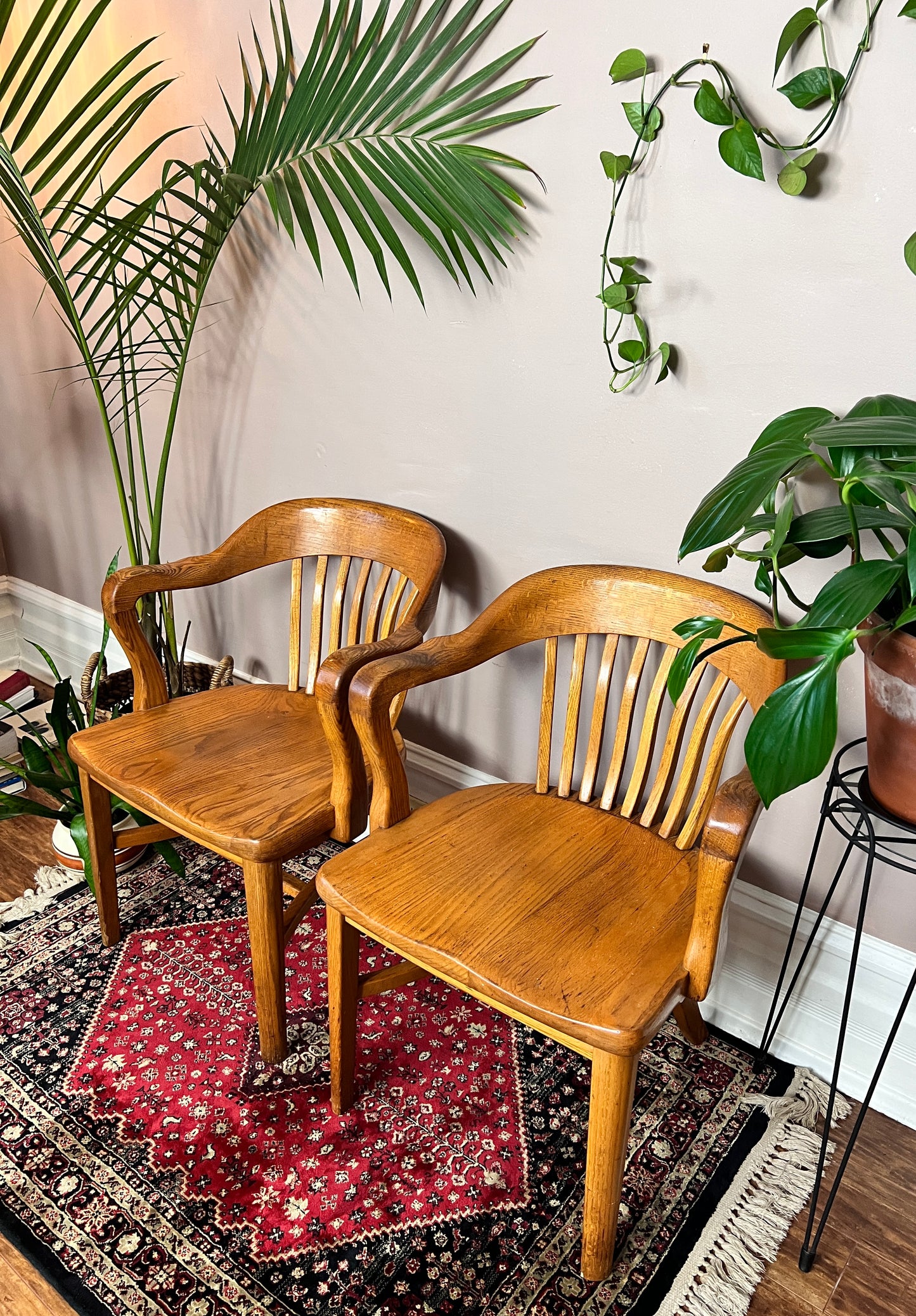 The Oak Barrister Chairs