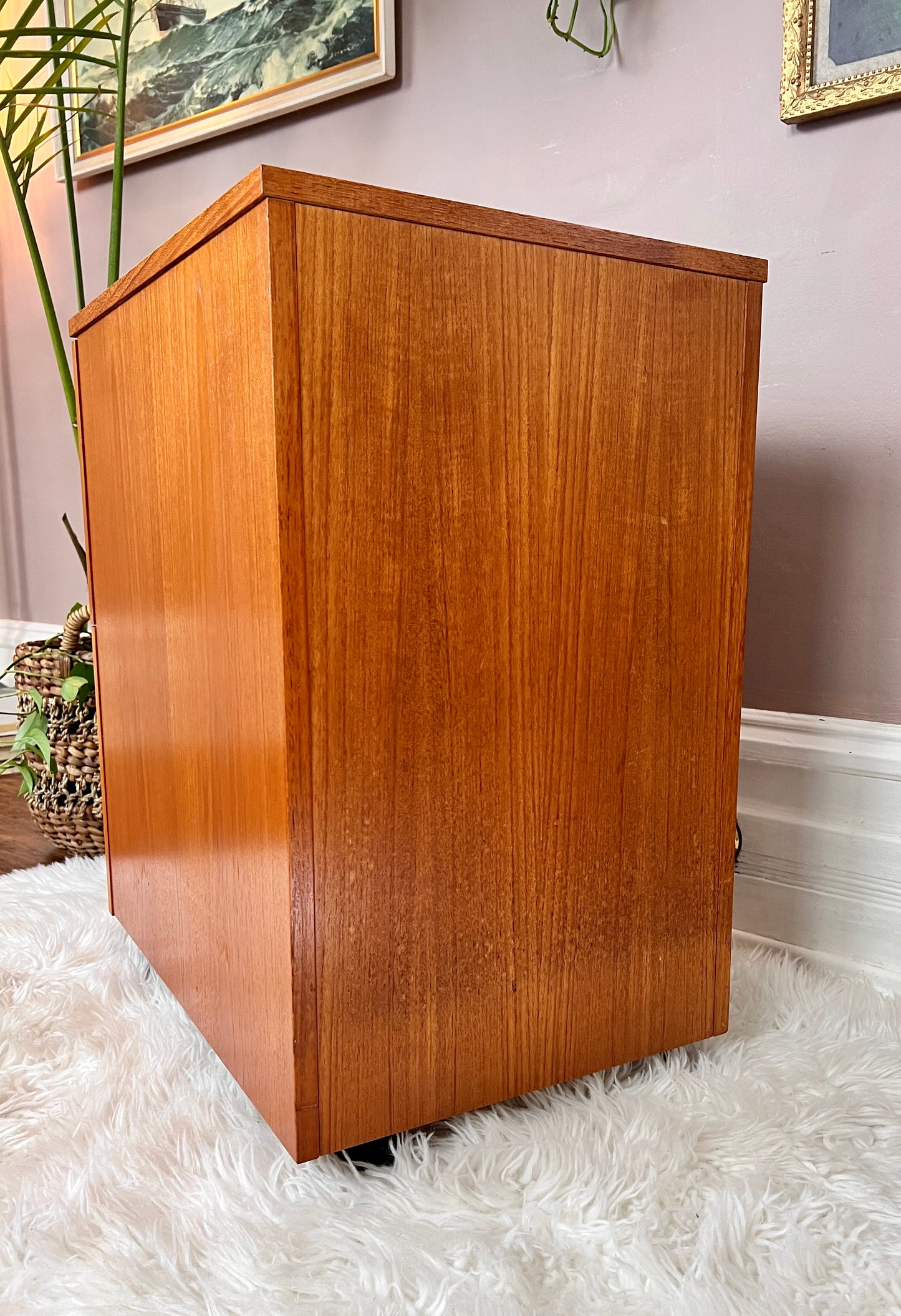 The Teak Office Cabinet