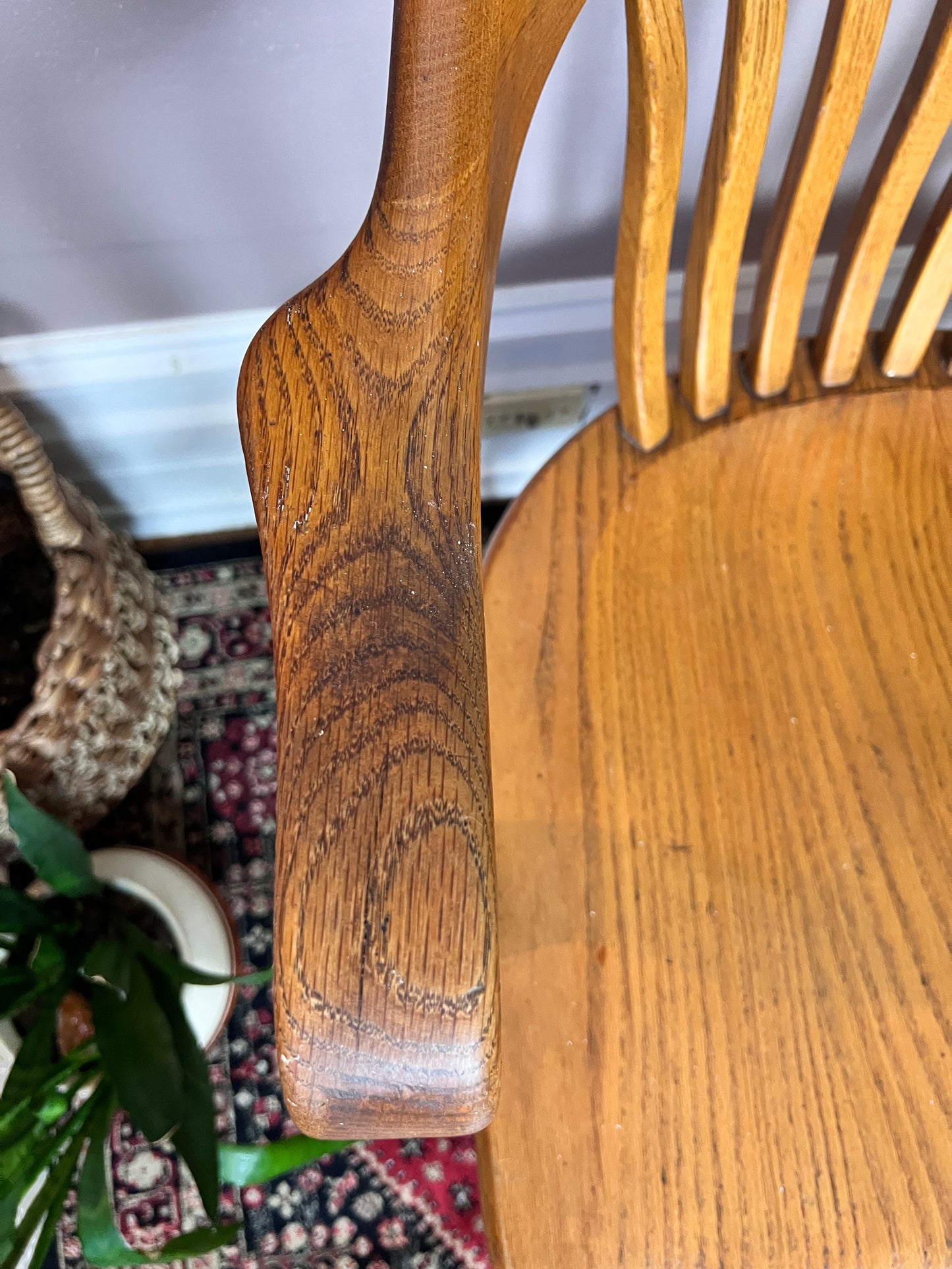 The Oak Barrister Chairs