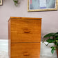 The Teak Office Cabinet