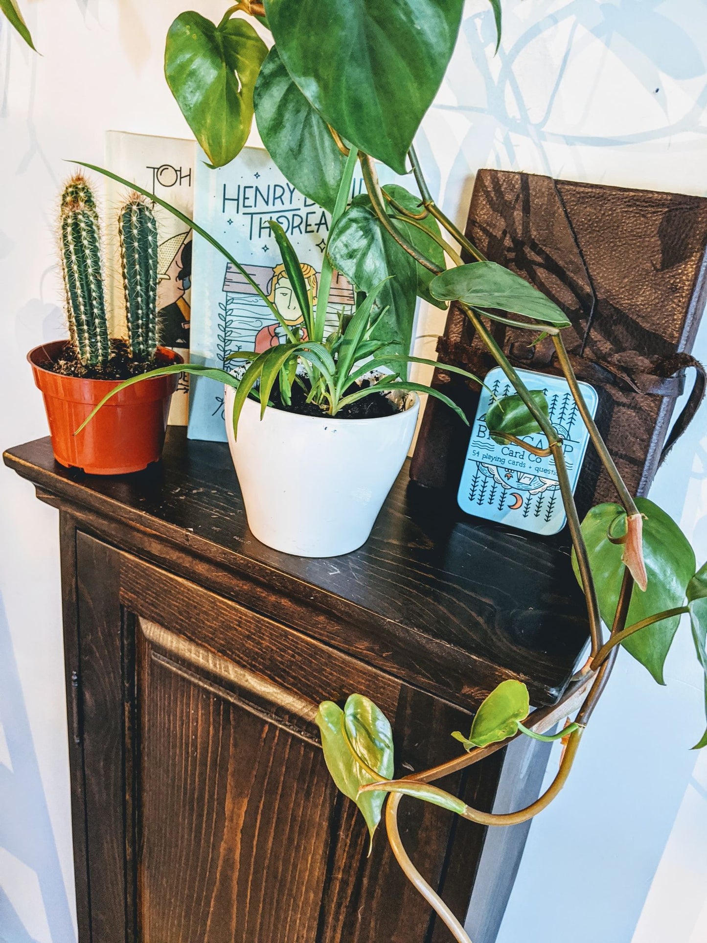 Brown Cupboard Spices, Pottery, Retro, Tall, Bohemian