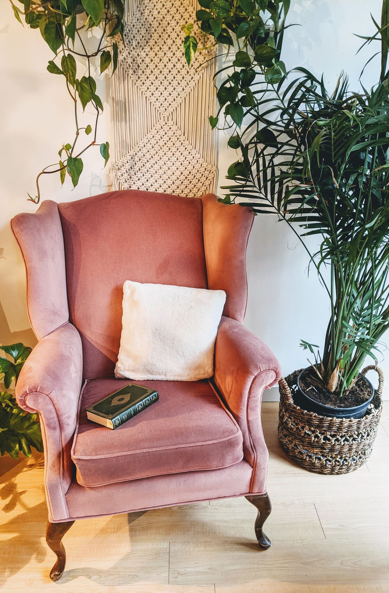 Vintage Wing back Arm Chair in Pink Salmon Colour