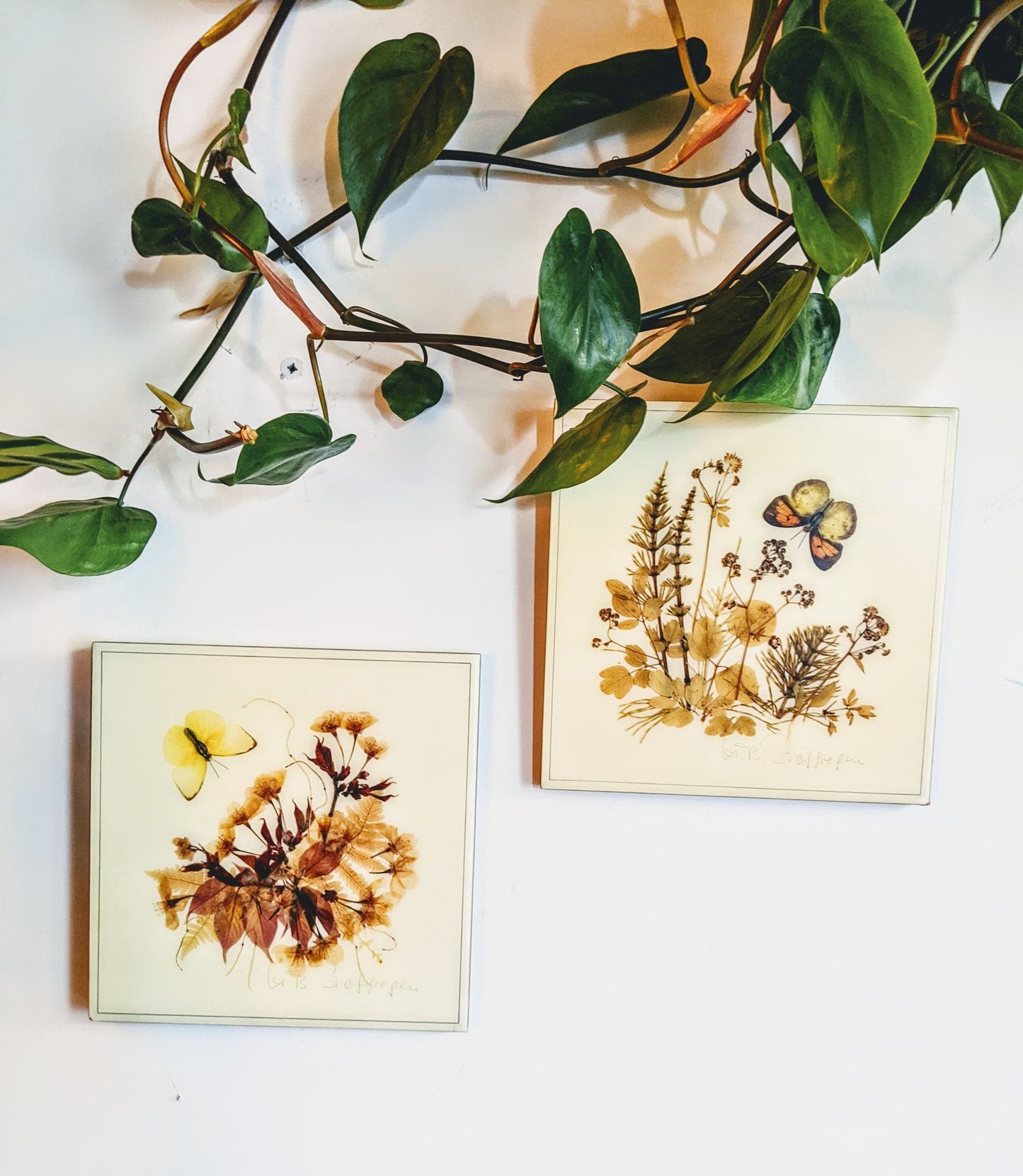 Henni Originals Hand Made Preserved Leaves Wall Art Retro