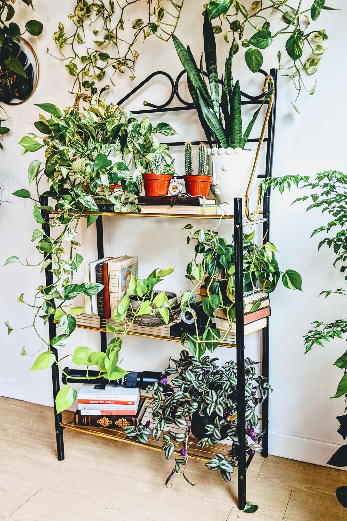 The Gatsby Shelf Metal Vintage Books Retro