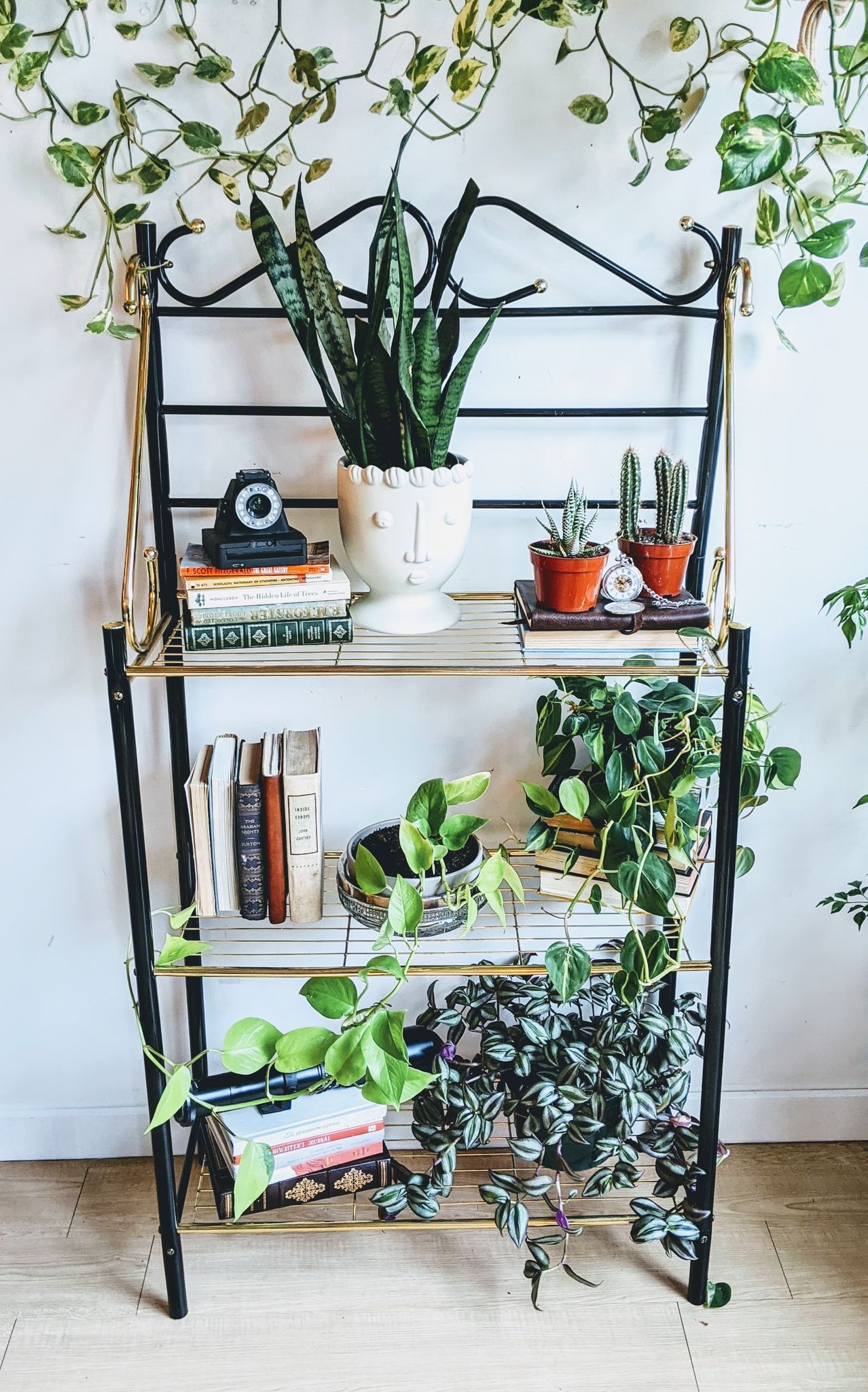 The Gatsby Shelf Metal Vintage Books Retro