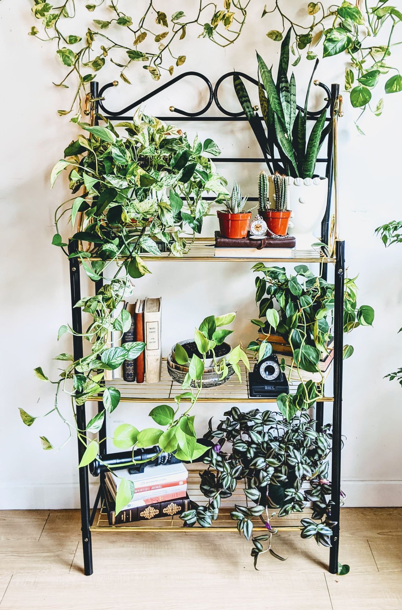 The Gatsby Shelf Metal Vintage Books Retro