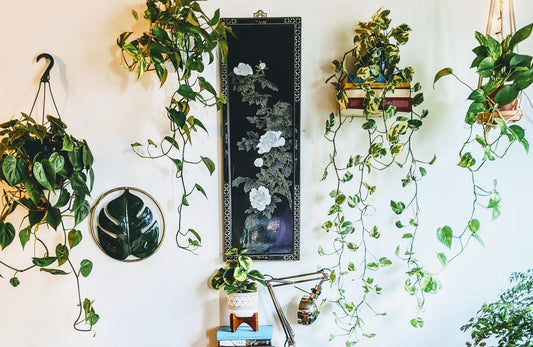 The Dark Garden Deco