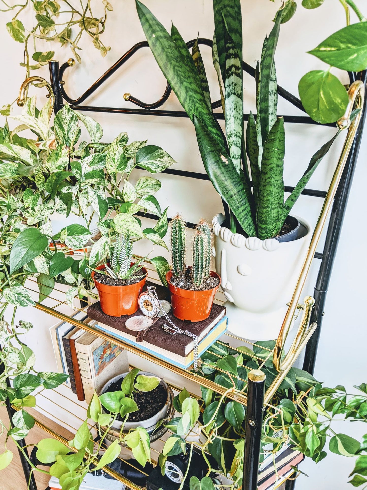 The Gatsby Shelf Metal Vintage Books Retro