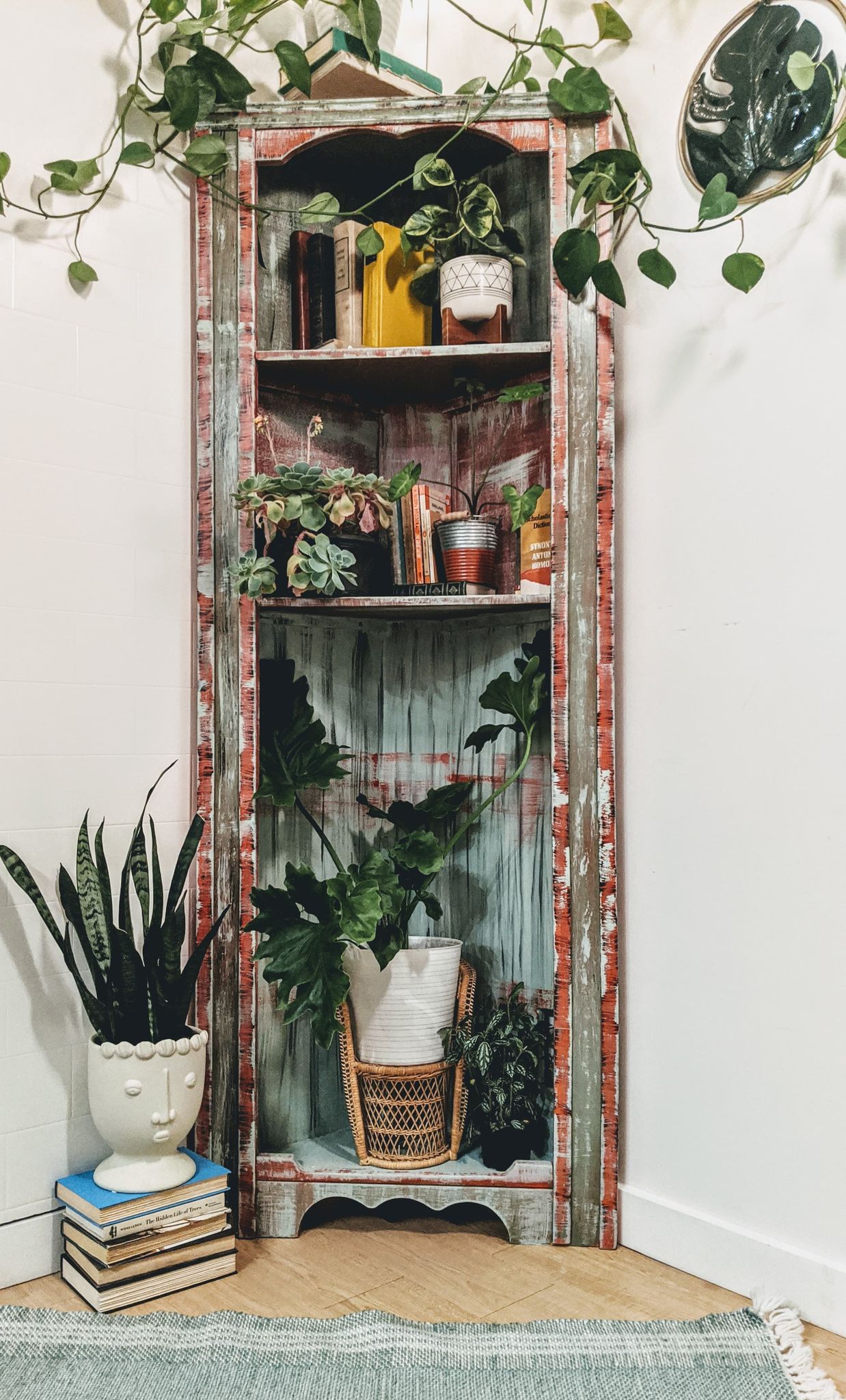The Apothecary Shelf
