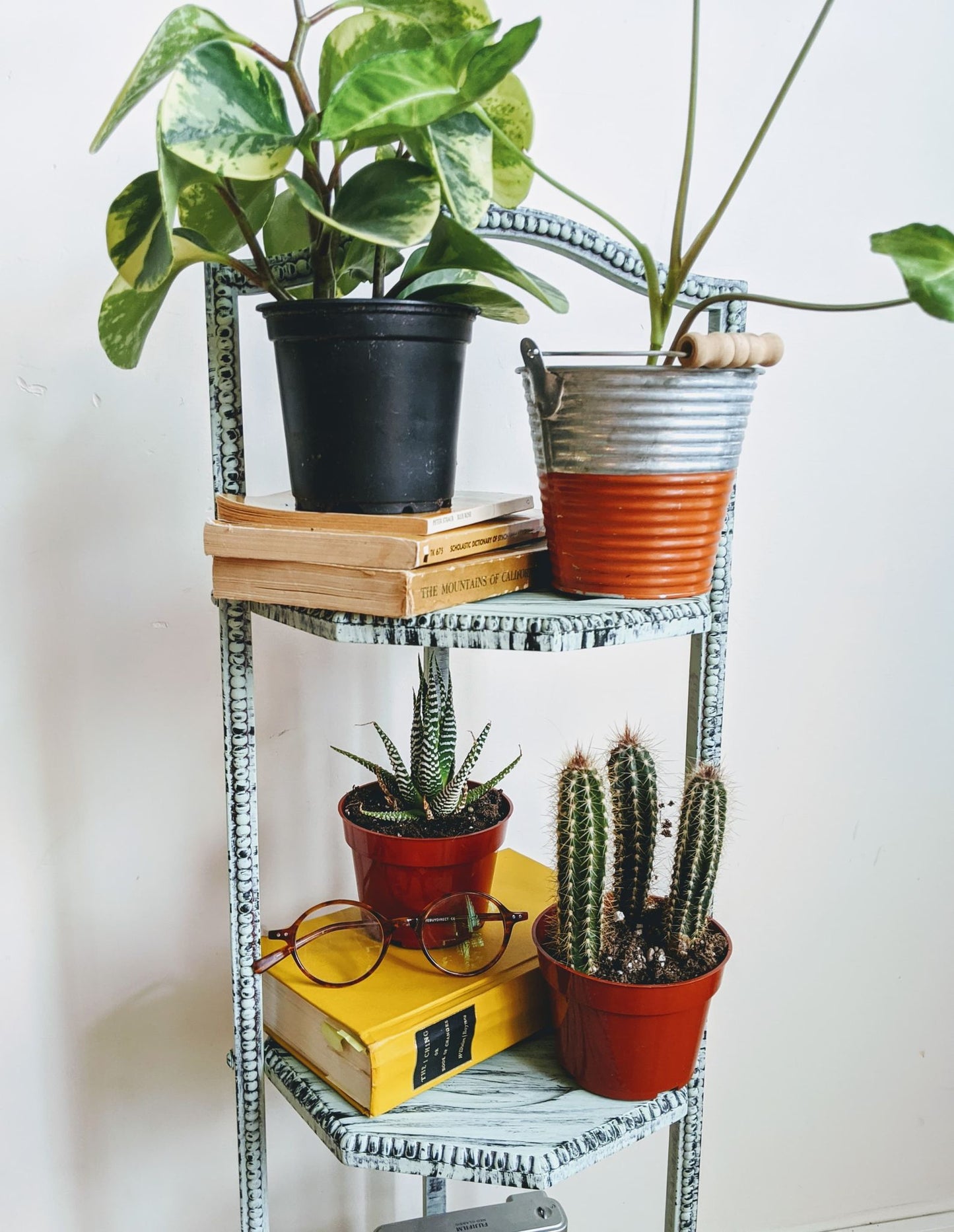 The Three Piece Maestro