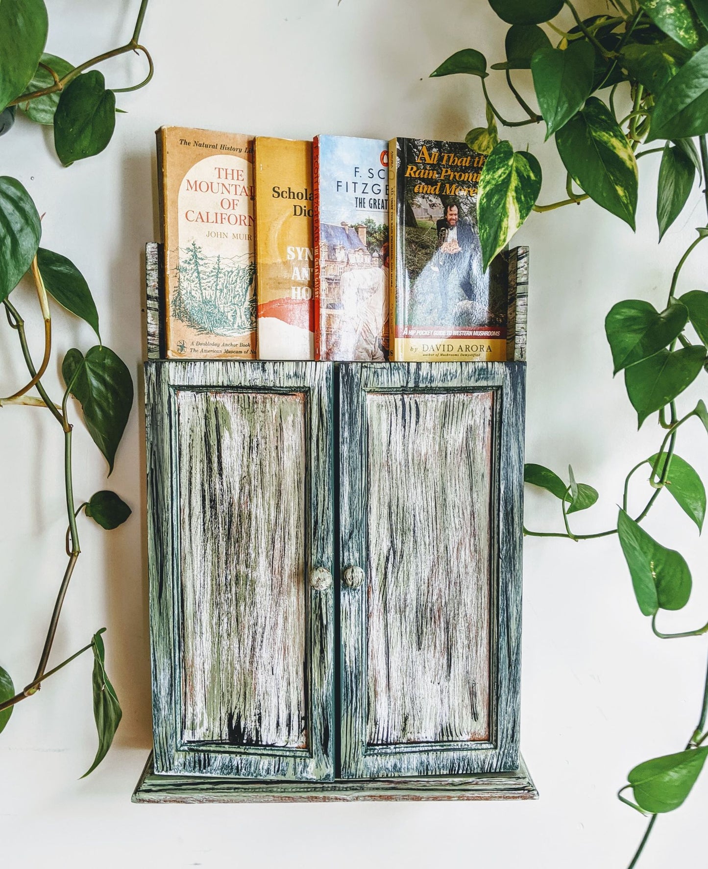 The Forest Ranger Cupboard