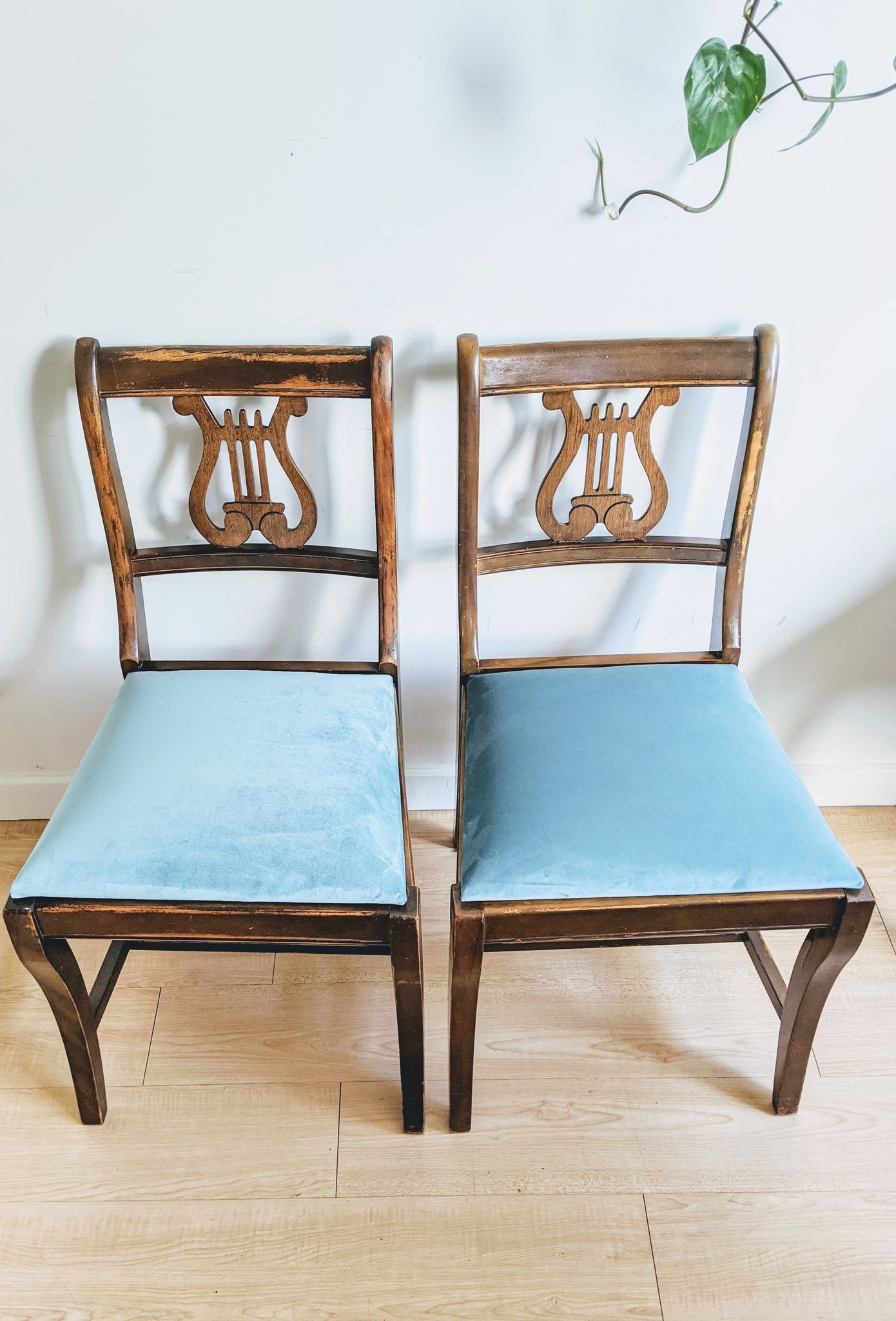 Harp Chair Joanne Newsom Velvet Blue Vintage Orchestra 50s  Edit alt text