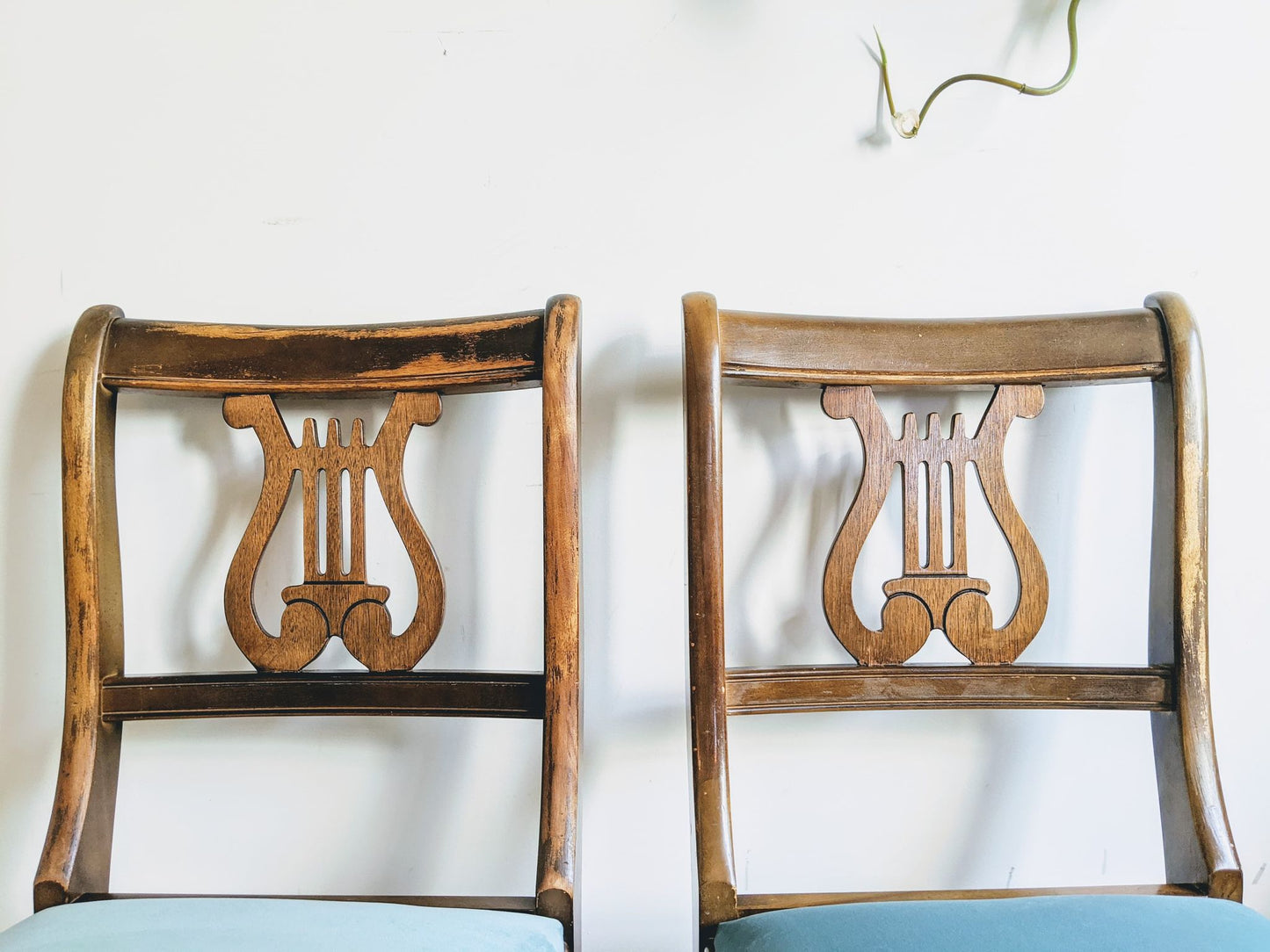 Harp Chair Joanne Newsom Velvet Blue Vintage Orchestra 50s  Edit alt text