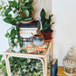 The Bernadette Table