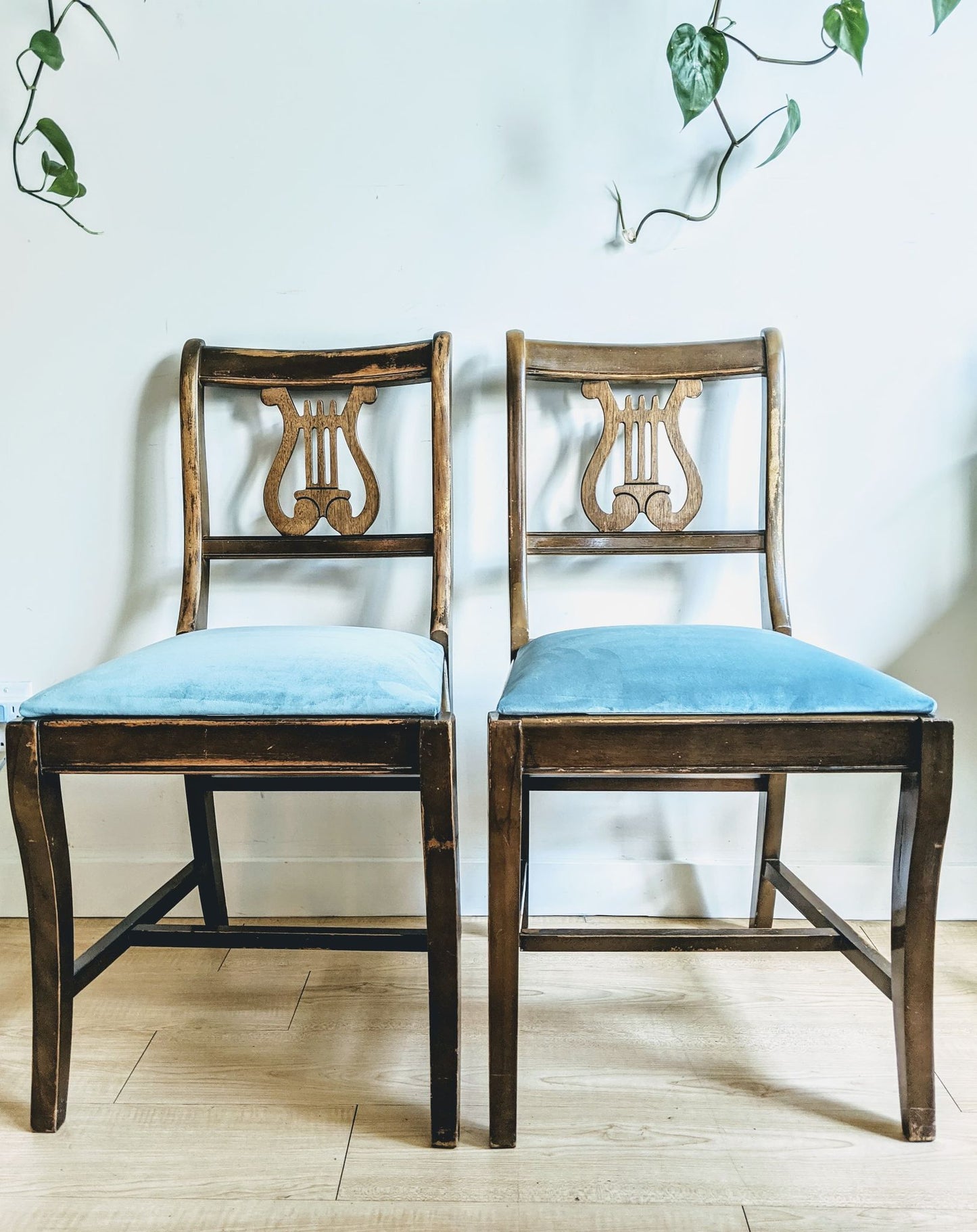 Harp Chair Joanne Newsom Velvet Blue Vintage Orchestra 50s  Edit alt text