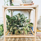 The Bernadette Table