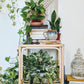 The Bernadette Table