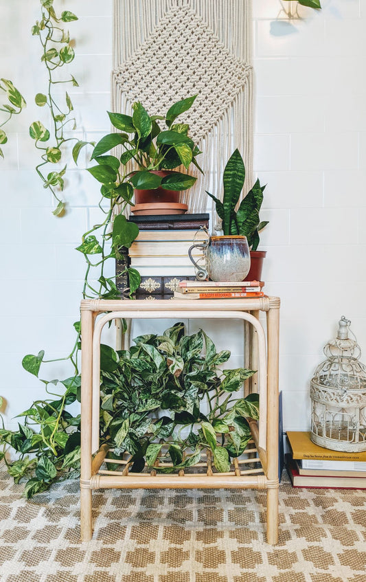 The Bernadette Table