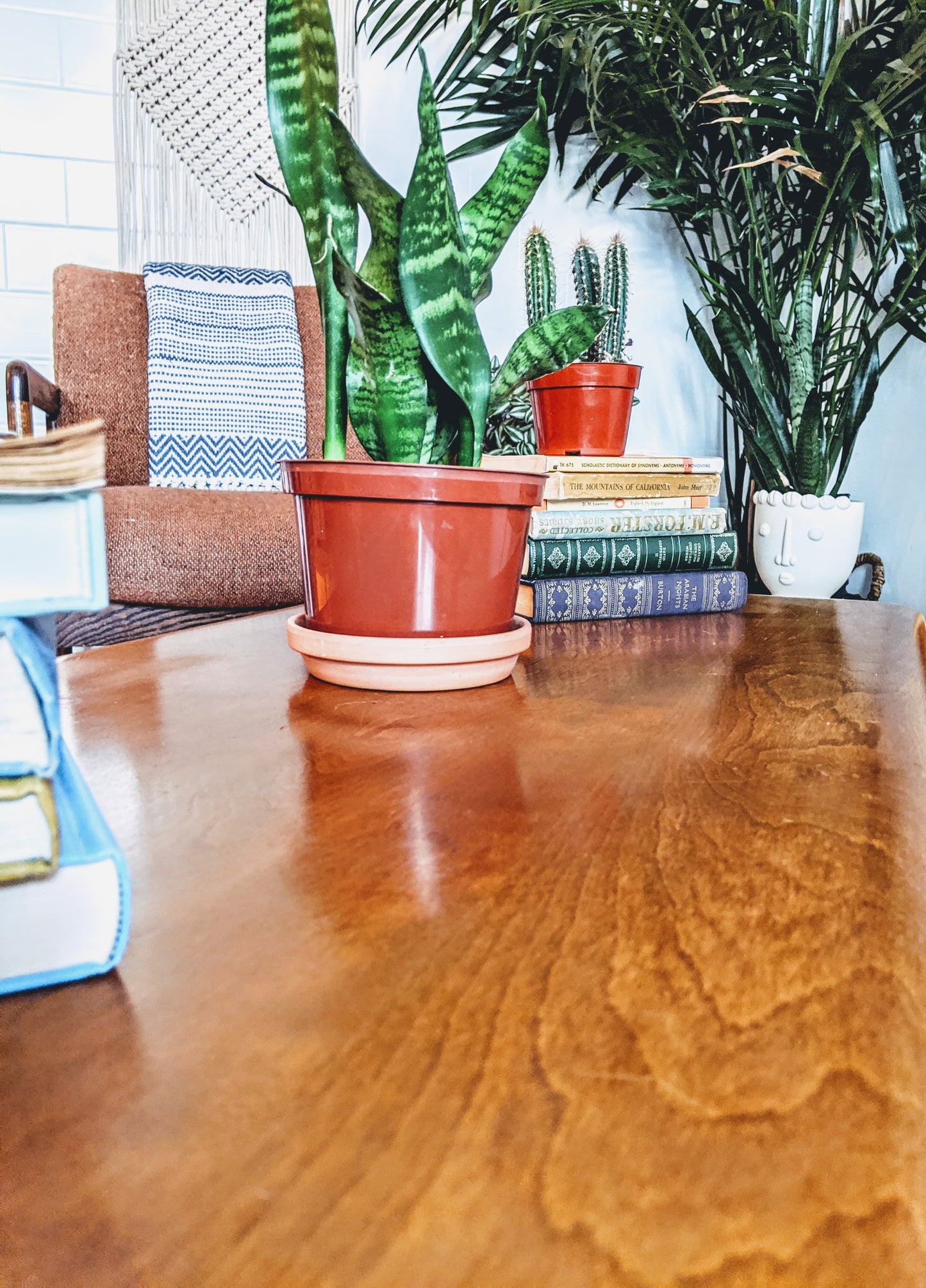 The Cobbler Coffee Table