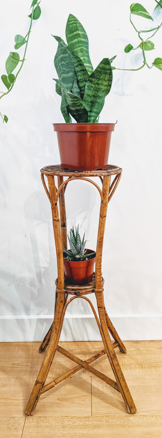The Wendy Plant Stand