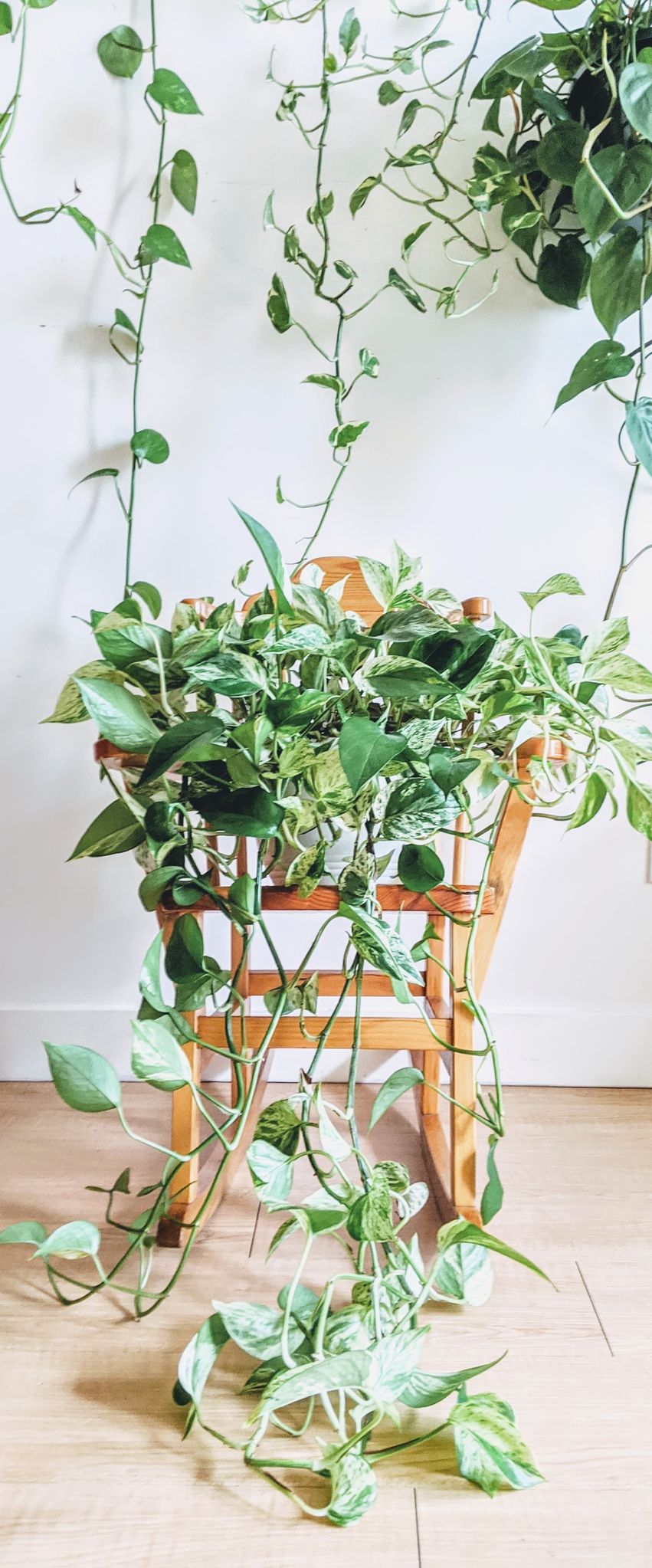 The Little Folk Rocker