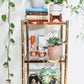 The Gatsby Shelf ll
