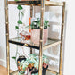 The Gatsby Shelf ll