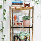 The Gatsby Shelf ll