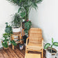 The Good Vibes Chair