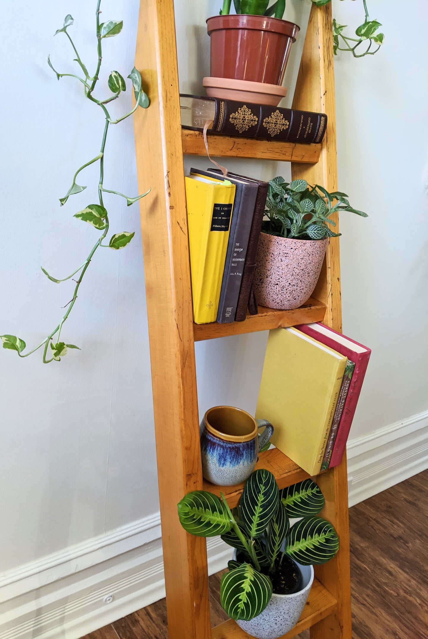 The Logan Ladder Shelf
