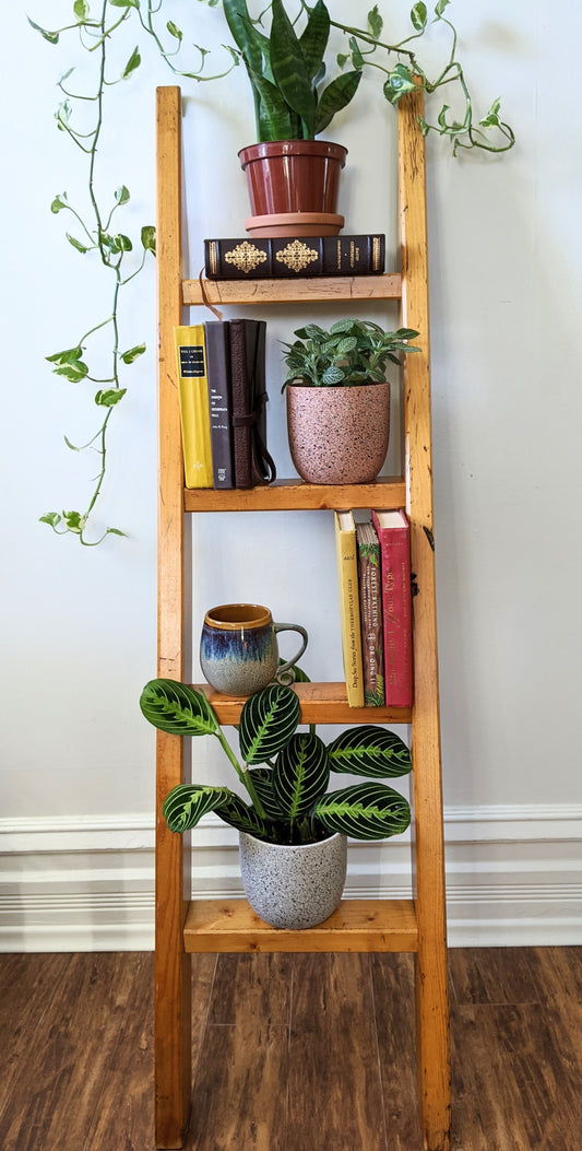 The Logan Ladder Shelf