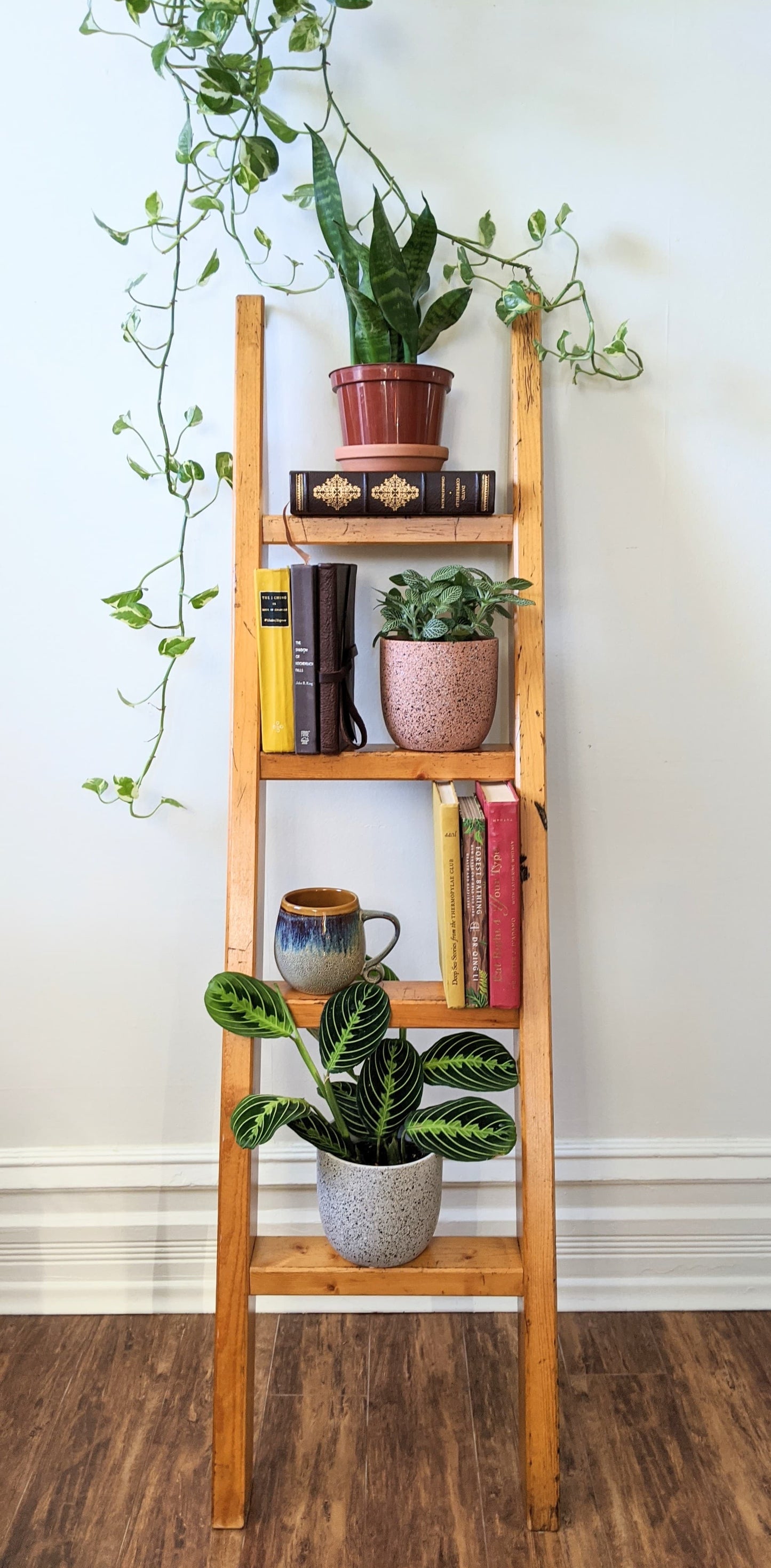 The Logan Ladder Shelf
